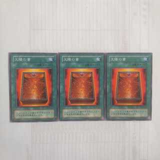 166 太陽の書 2期3枚 鮭イクラ商店