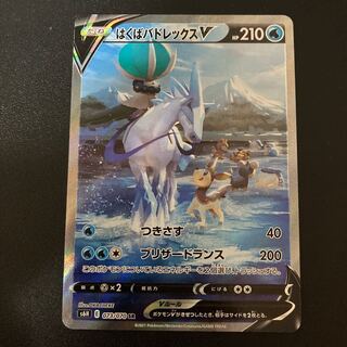 はくばバドレックスV SR sa