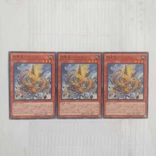 186 地竜星-ヘイカン 3枚 鮭イクラ商店