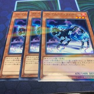 フレイムバッファロー ノーパラ3枚