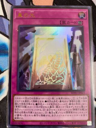 真の光 ウルトラレア