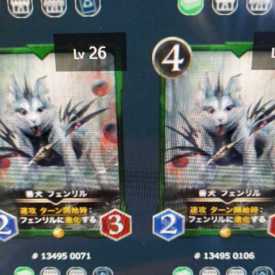 ニャンチュウさん専用