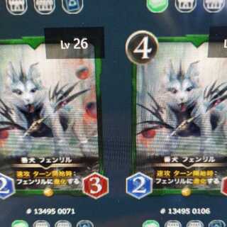 ニャンチュウさん専用