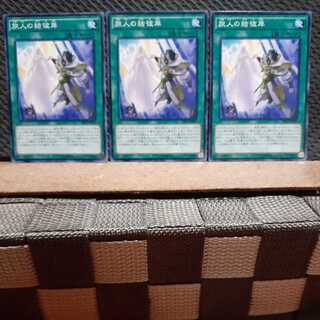 【ぽぽたん】遊戯王 3384   旅人の結彼岸 3枚 ノーマル