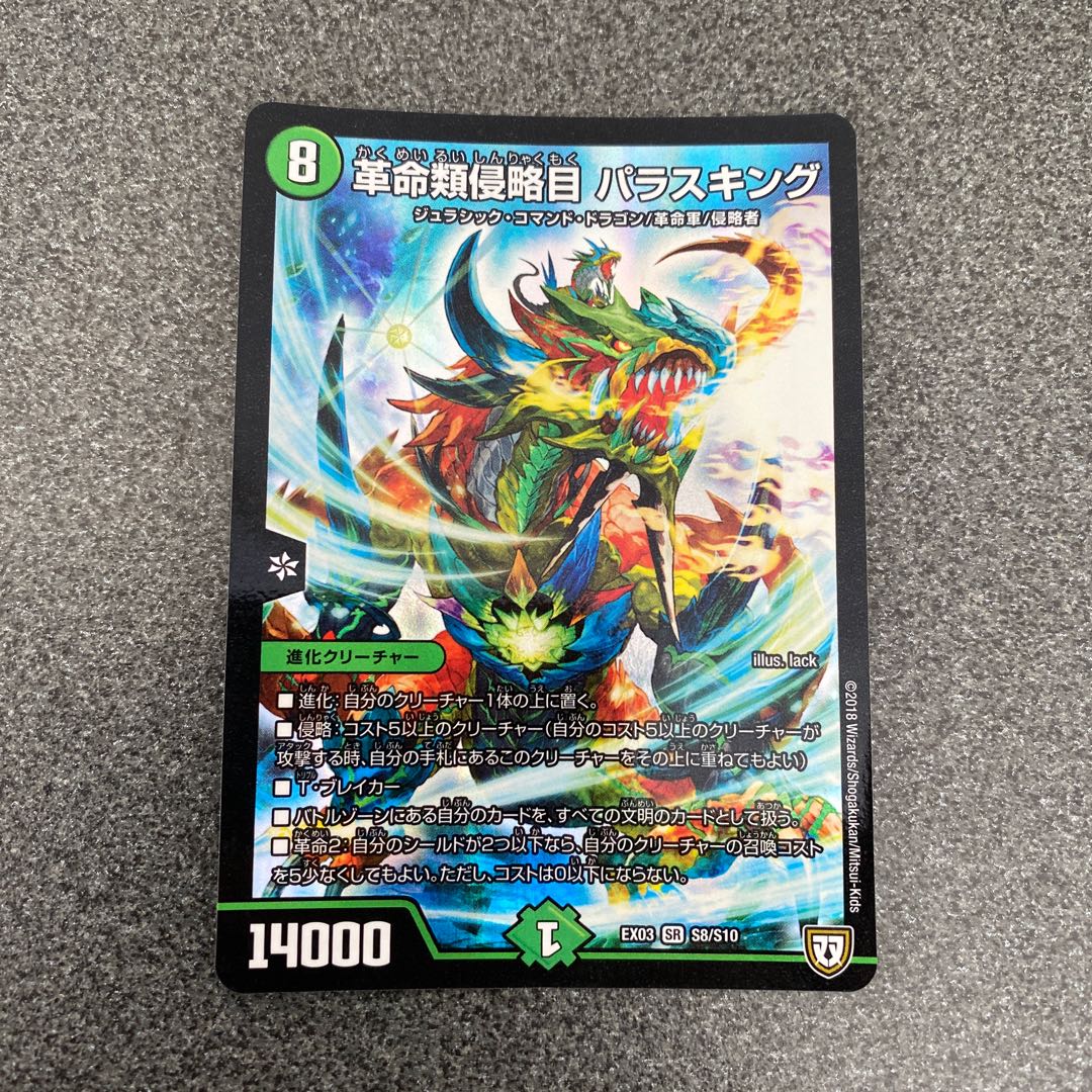 革命類侵略目 パラスキング