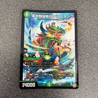 革命類侵略目 パラスキング