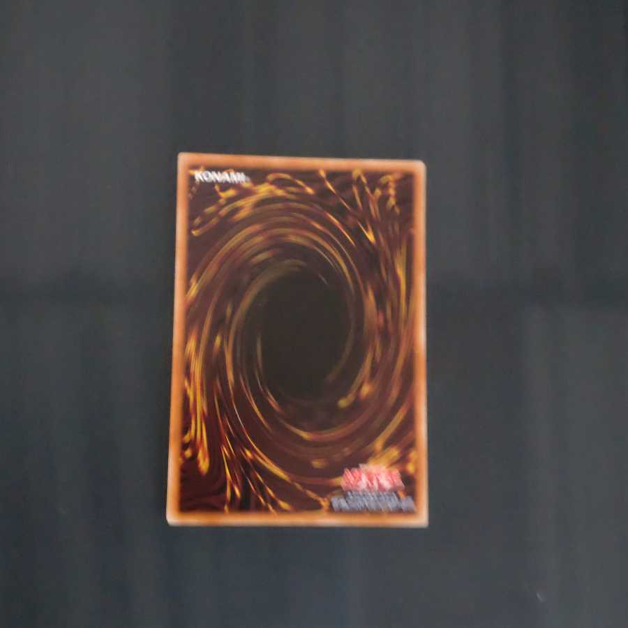 沼地のドロゴン 【木林堂】