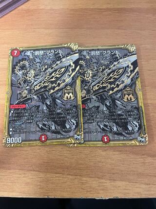 “罰怒”ブランド シークレット 2枚セット