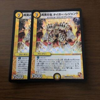 真実の名 タイガー・レジェンド