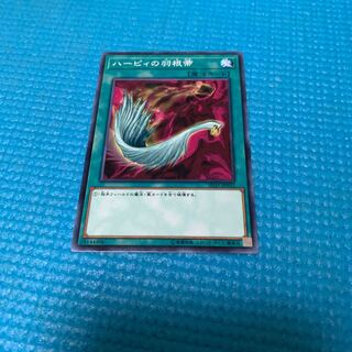 ハーピィの羽根帚