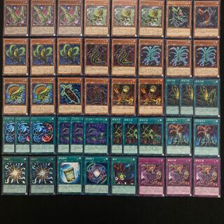 捕食植物デッキ　本格構築　遊戯王No.197 ヴェルテアナコンダ