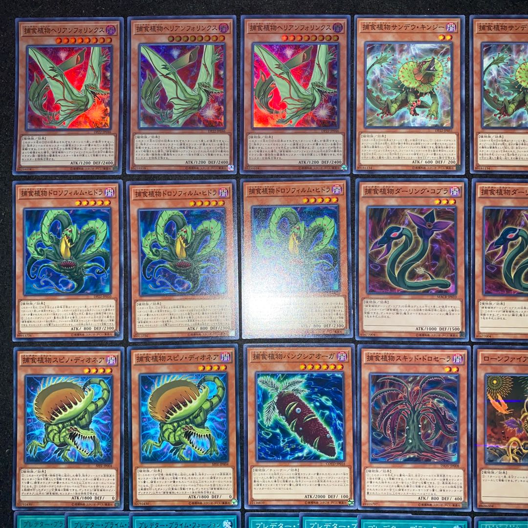 捕食植物デッキ　本格構築　遊戯王No.197 ヴェルテアナコンダ
