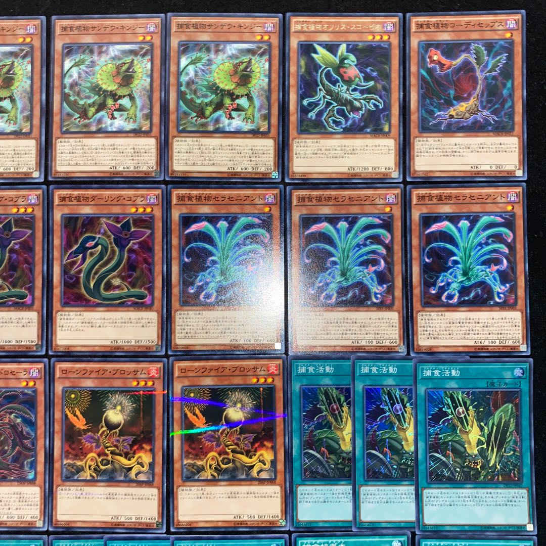 捕食植物デッキ　本格構築　遊戯王No.197 ヴェルテアナコンダ