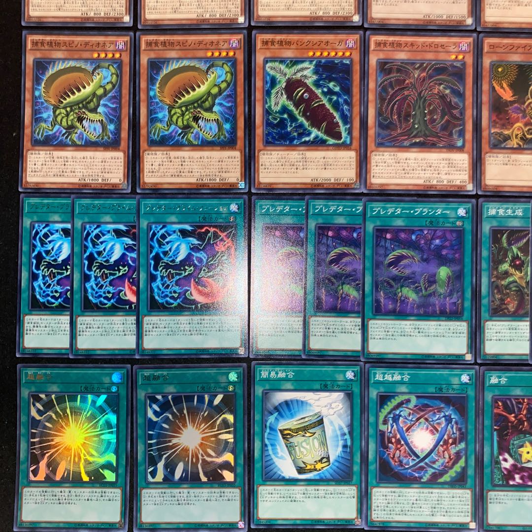 捕食植物デッキ　本格構築　遊戯王No.197 ヴェルテアナコンダ