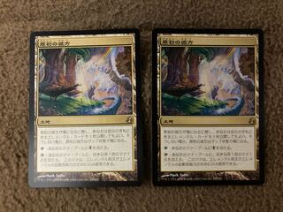 MTG 原初の彼方 日本語 2枚セット 2枚