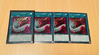 ハーピィの羽根帚