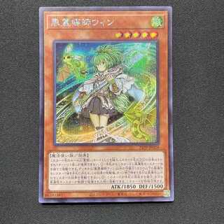 Wynn the Wind Channeler (Secret)