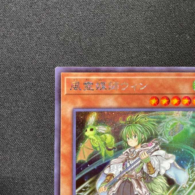 Wynn the Wind Channeler (Secret)