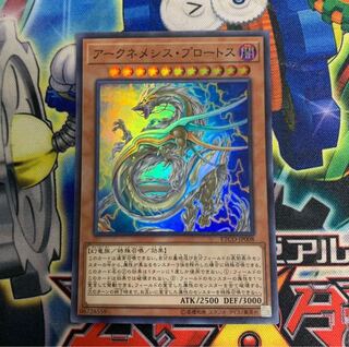 アークネメシス・プロートス　1枚