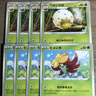 ワタシラガ　8枚セット