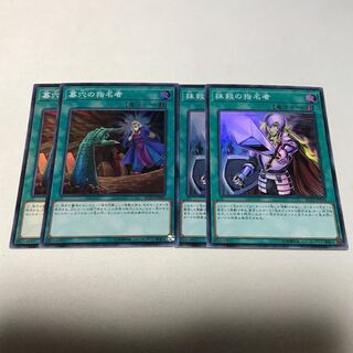 墓穴の指名者　抹殺の使命者