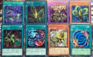 遊戯王 プレデタープランツセット⑤ ✧ 𝘽𝙇𝘼𝙕𝙄𝙉𝙂 𝘿𝙊𝙈𝙄𝙉𝙄𝙊𝙉 ✧＼ ＼／ ＼／ ＼ 好評発売中
