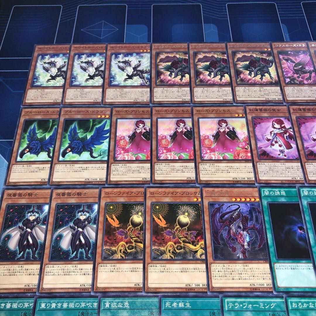 No.34 ローズドラゴン ガチ構築 デッキ レッドローズドラゴン