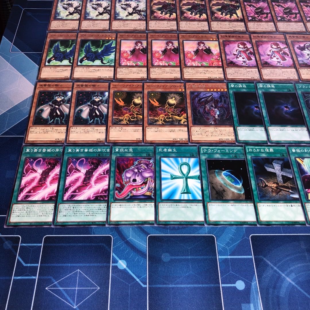 No.34 ローズドラゴン ガチ構築 デッキ レッドローズドラゴン