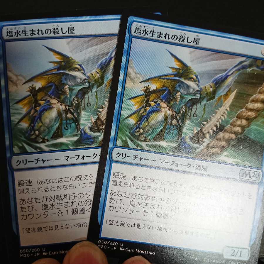 塩水生まれの殺し屋