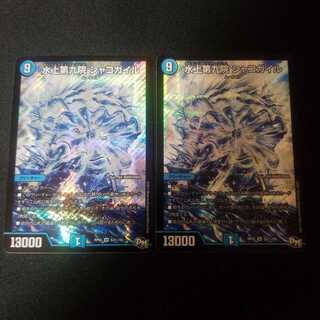 The Ninth House on Water, Shakogile Secret, 2 copies