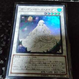 ガーデン・ローズ・メイデン  1枚