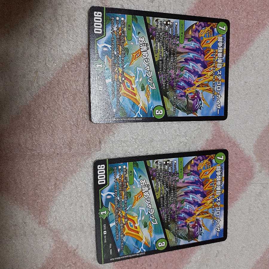 闘争類拳嘩目 ステゴロ・カイザー｜お清めシャラップ