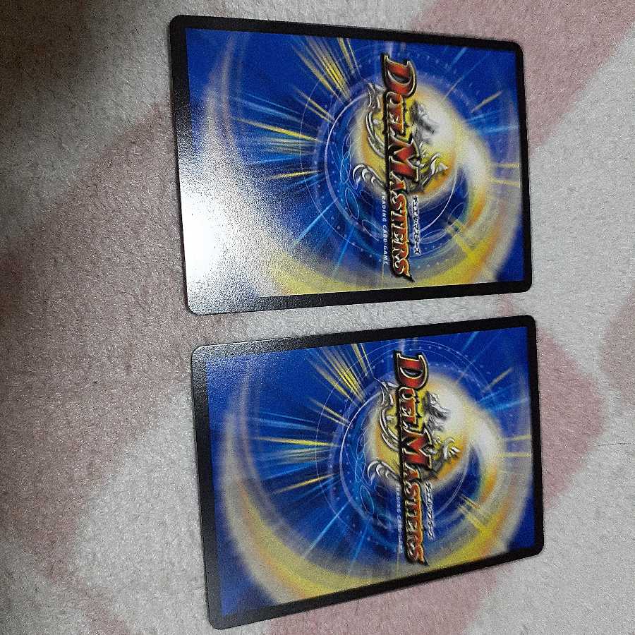 闘争類拳嘩目 ステゴロ・カイザー｜お清めシャラップ