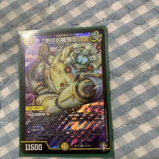 「絶対の楯騎士」