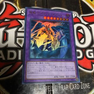 遊戯王 竜騎士ブラックマジシャン ウルトラ