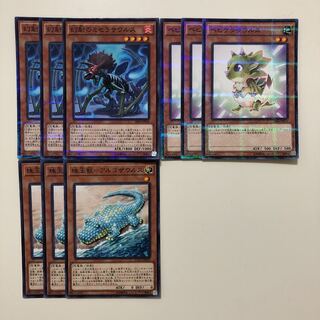 遊戯王 幻創のミセラサウルス　ベビケラサウルス　珠玉獣ーアルゴザウルス　各3枚