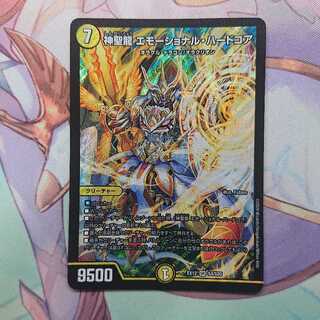 神聖龍 エモーショナル・ハードコア