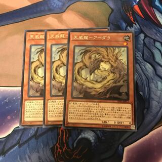 天威龍-アーダラ レア