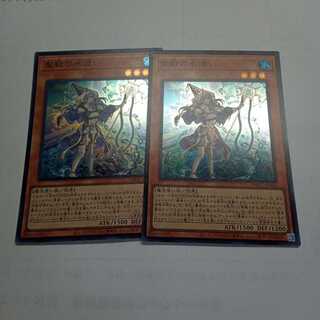 遊戯王　聖殿の水遣い2枚