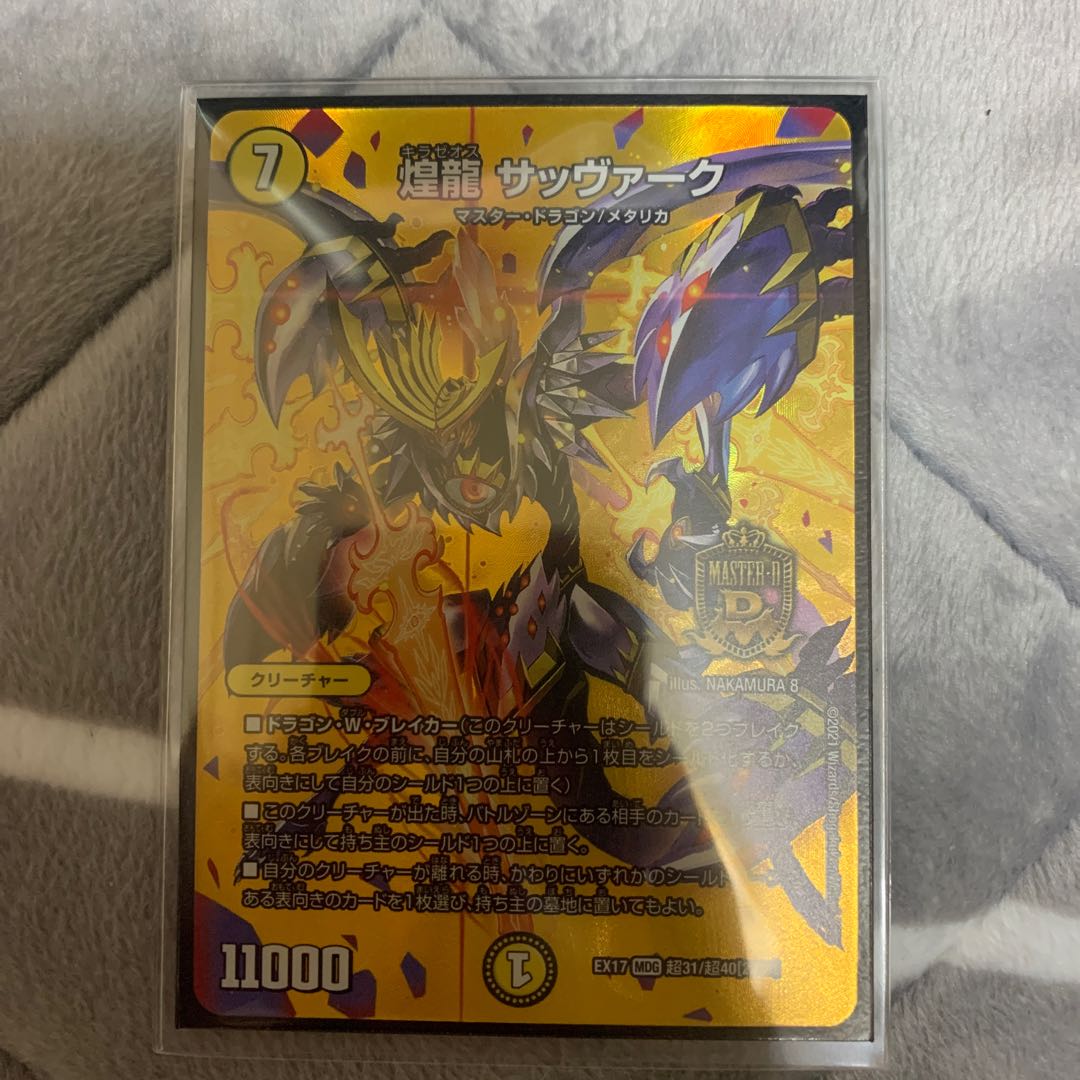 煌龍 サッヴァーク