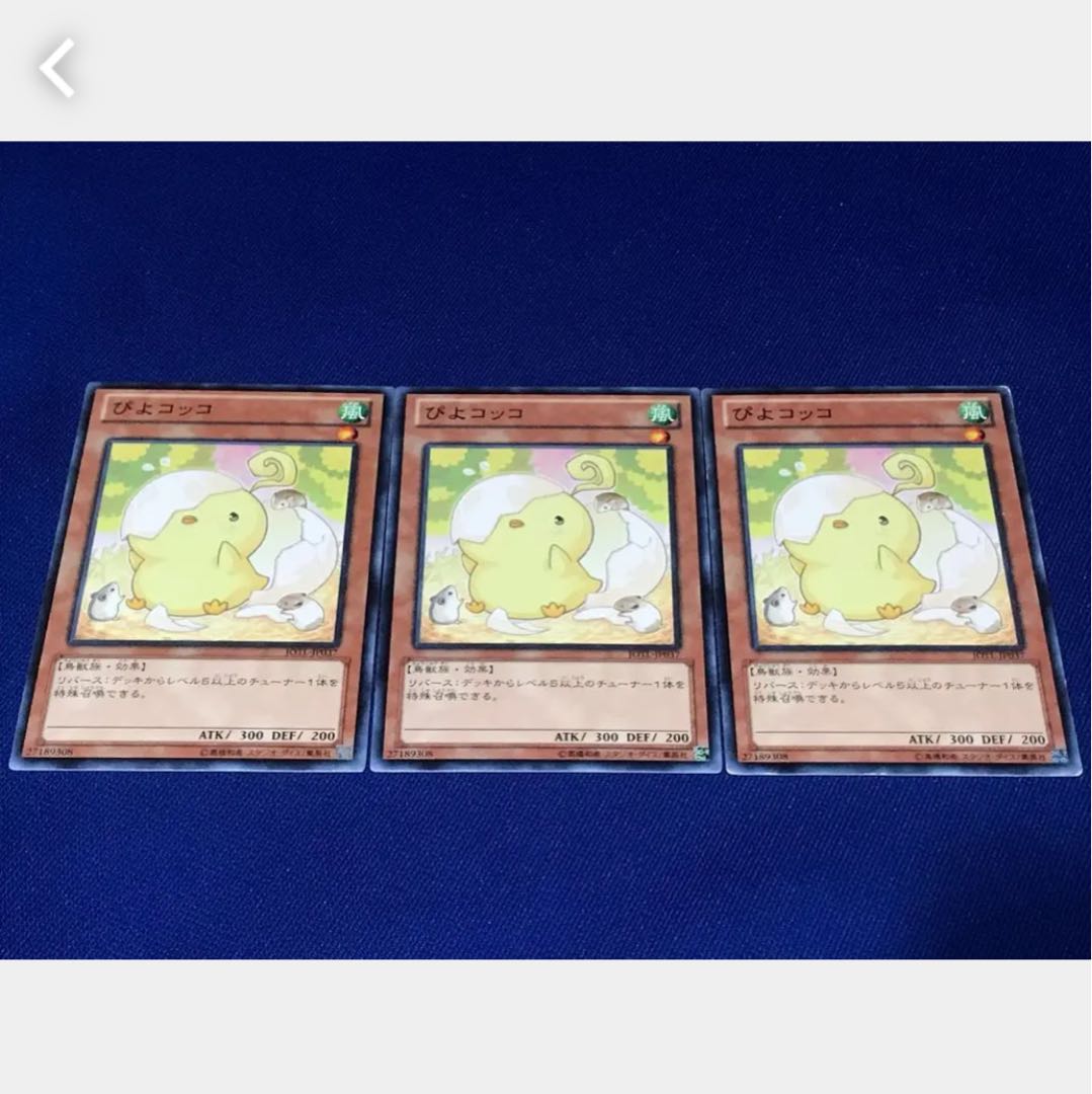 Popotan] Yu-Gi-Oh! 255 Cheepcheepcheep 3-card set