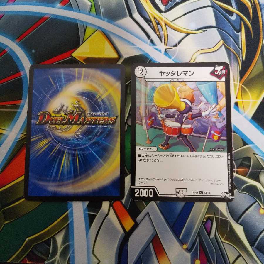 しう様専用 1枚