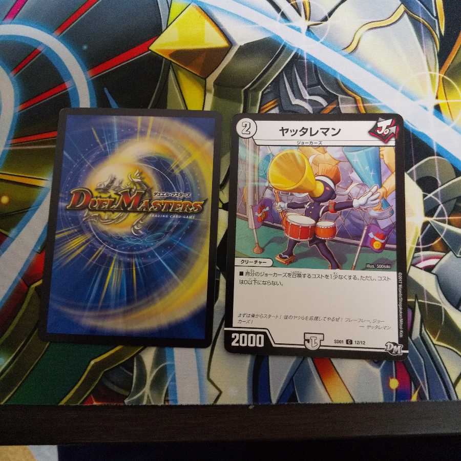 しう様専用 1枚