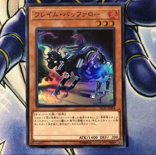 flame buffalo (Syncerus flammeus)