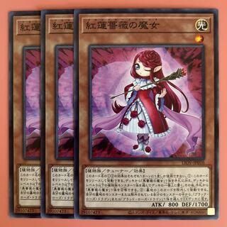 遊戯王 紅蓮薔薇の魔女 ブラッドローズウィッチ 3枚セット