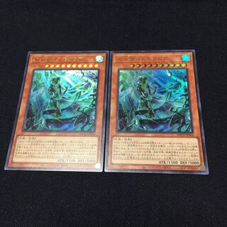 氷水帝コスモクロア【ウルトラ】{BACH-JP006} 2枚