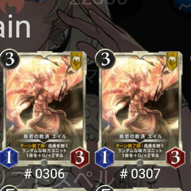 エイル2枚セット