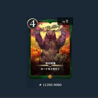 【なおきちさん専用】秋の採集