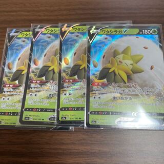 ワタシラガV 4枚セット