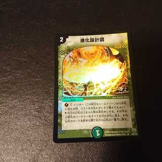 進化設計図 R P6/Y4 [954]